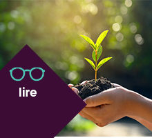 Pastille_Investissement - Lire