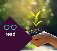 Investment - Read